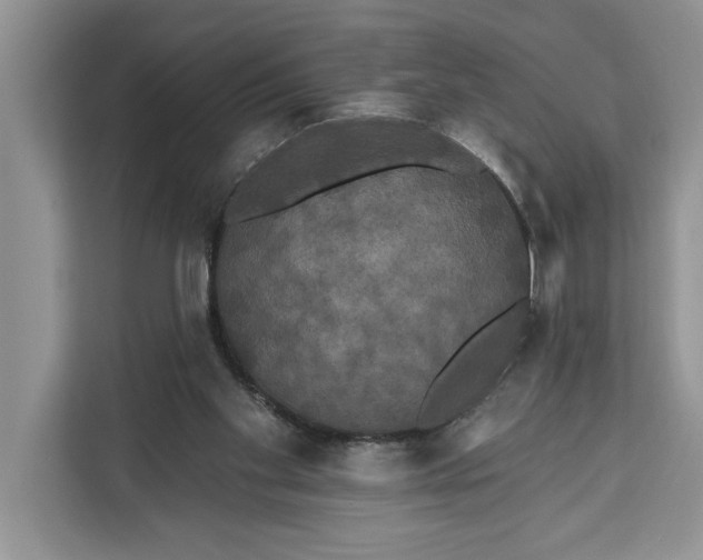 X0000112200109200908281447