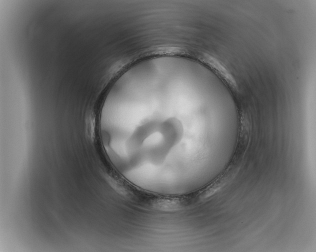 X0000112200110200908281447