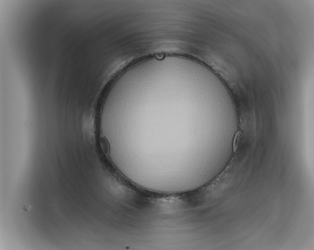 X0000112200112200908281447