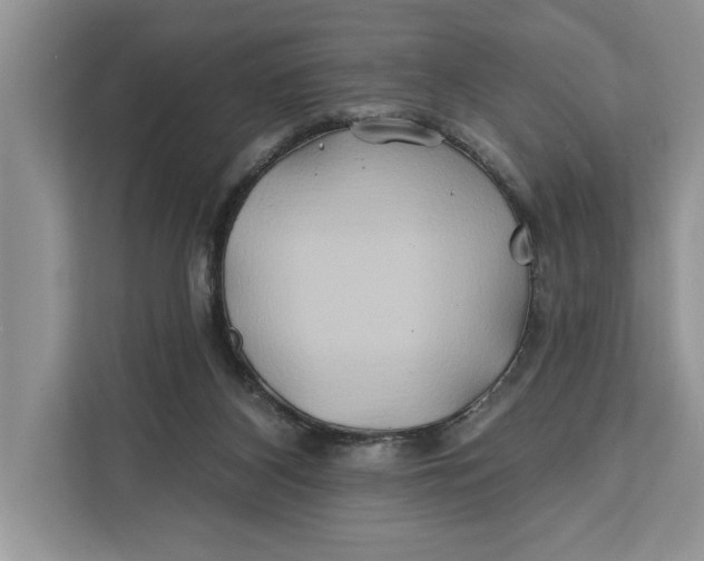 X0000112200116200908281447