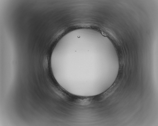 X0000112200120200908281447