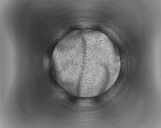 X0000112200123200908281447