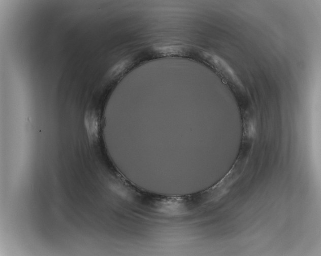 X0000112200124200908281447