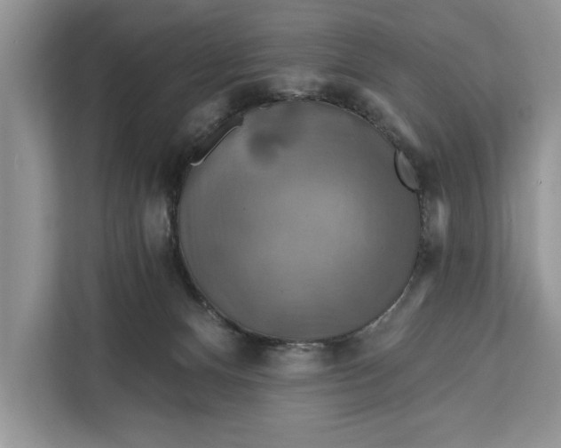 X0000112200128200908281447