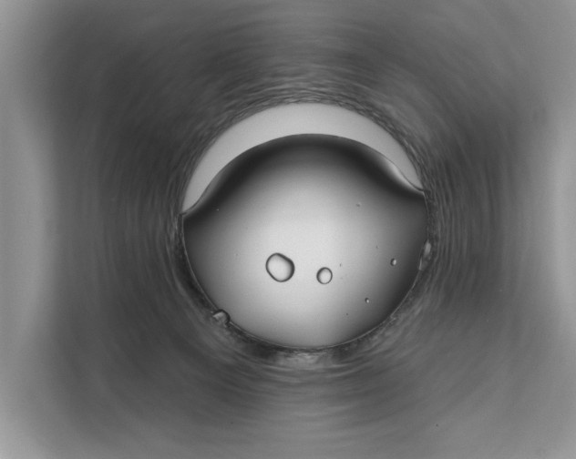 X0000112200129200908281447