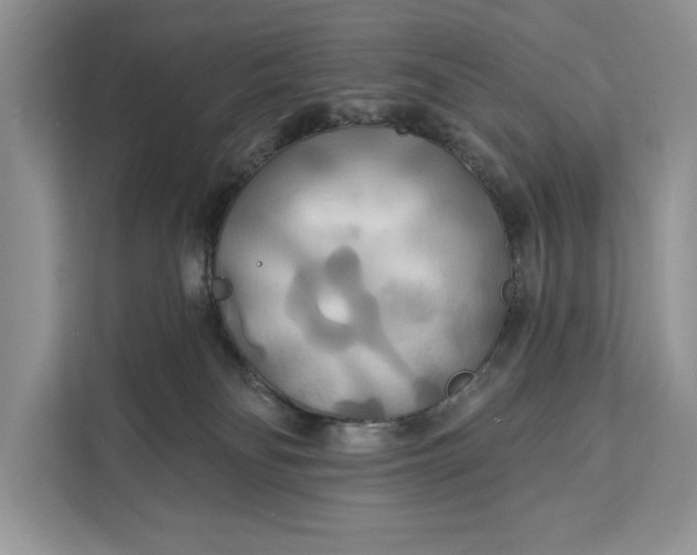 X0000112200134200908281447