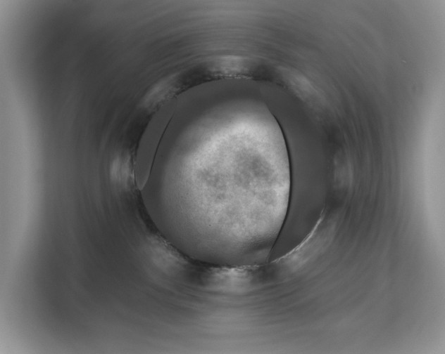 X0000112200140200908281447