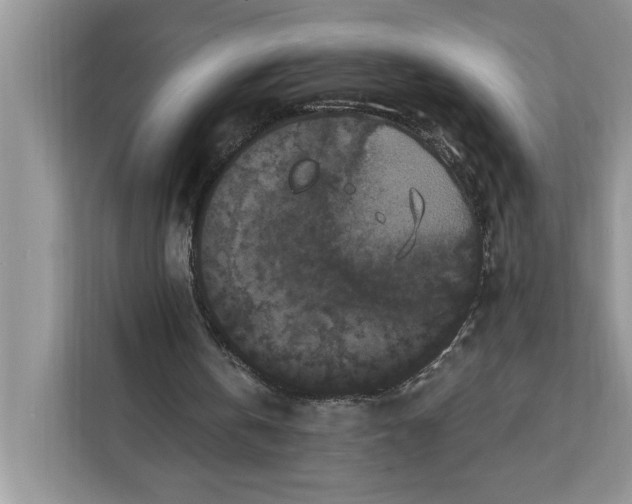 X0000112200146200908281446