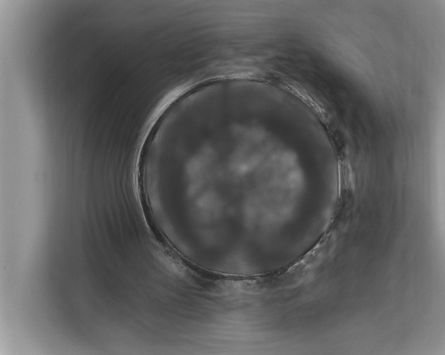 X0000112200147200908281446