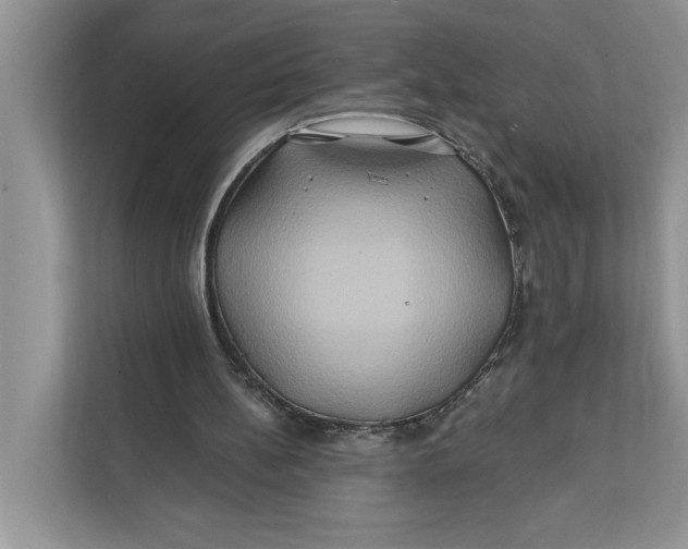 X0000112200148200908281446