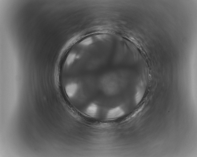 X0000112200149200908281446