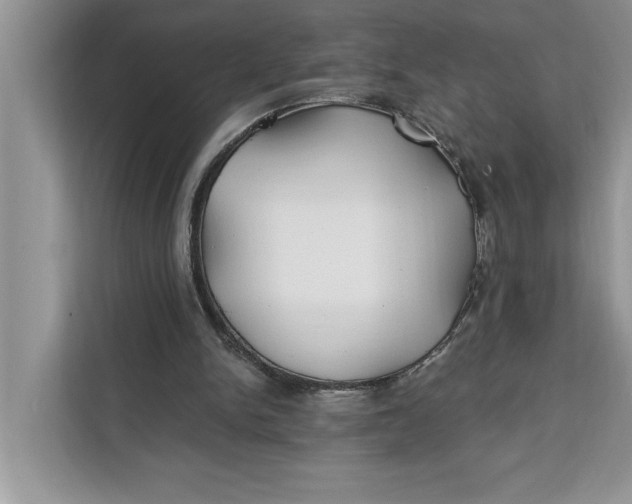 X0000112200150200908281446