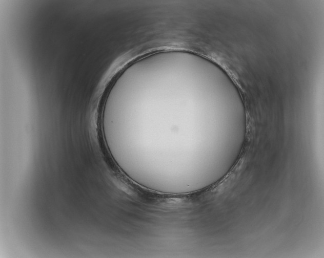 X0000112200151200908281446