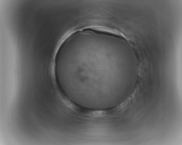 X0000112200152200908281446