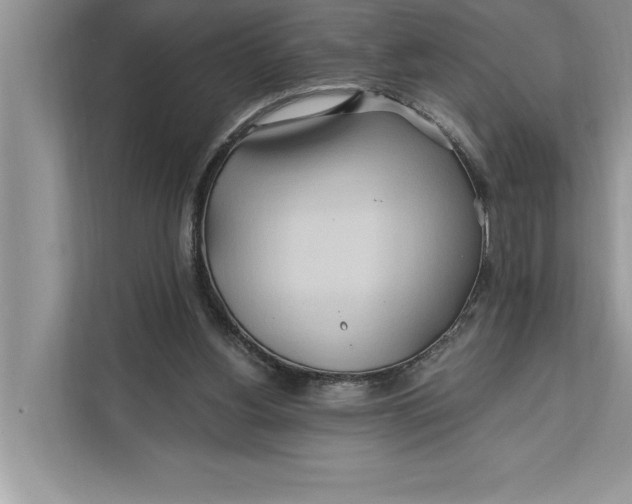 X0000112200156200908281446