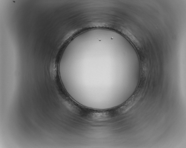 X0000112200160200908281446