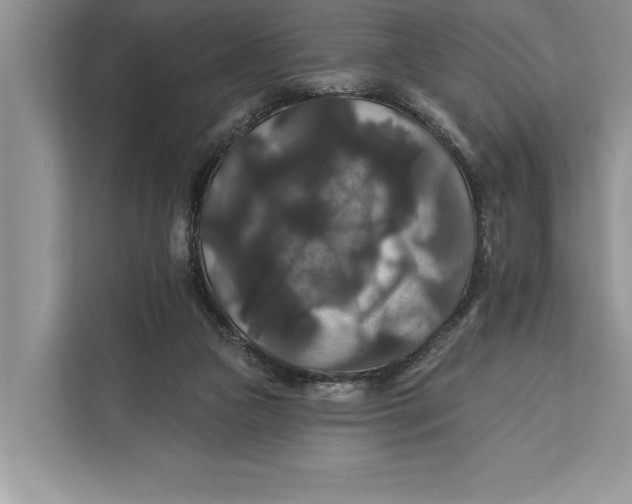 X0000112200161200908281446