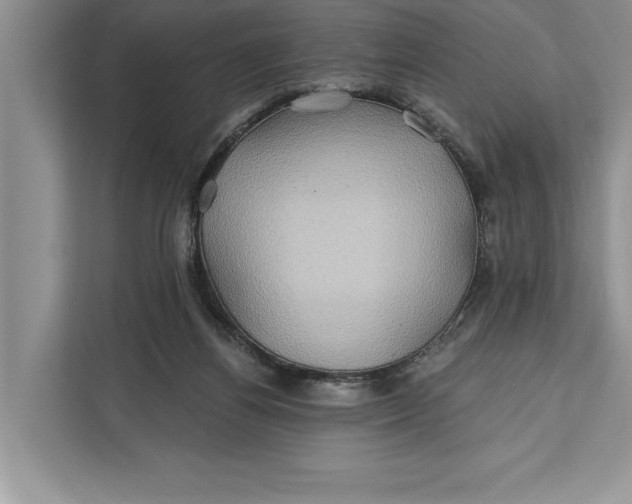 X0000112200164200908281446