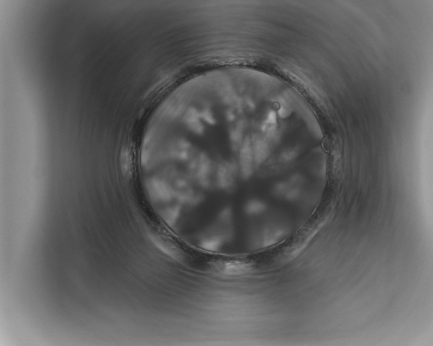 X0000112200165200908281446