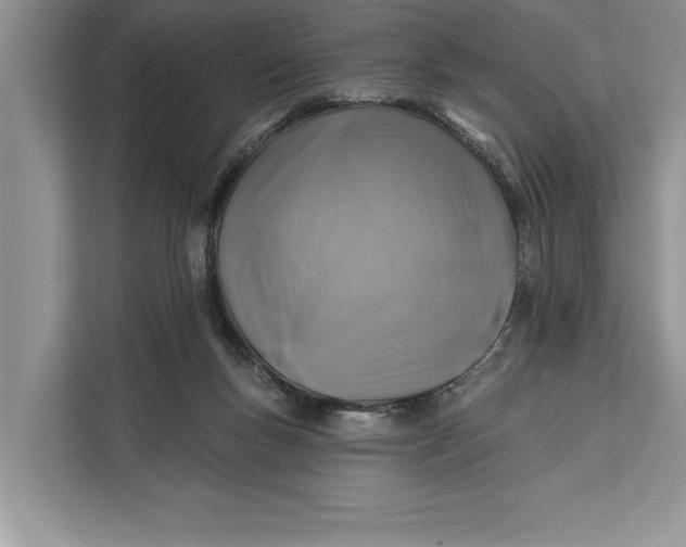 X0000112200167200908281446