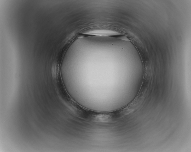 X0000112200168200908281446