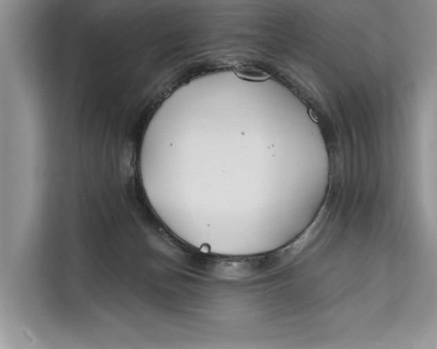 X0000112200174200908281446