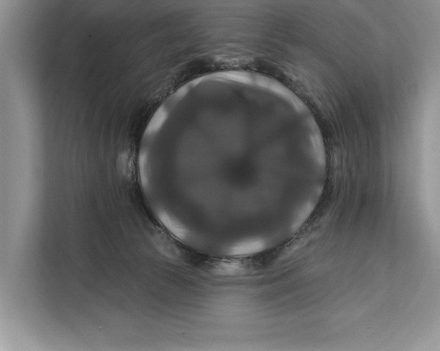 X0000112200177200908281446