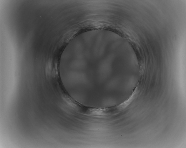 X0000112200182200908281447