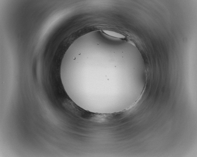 X0000112200190200908281447