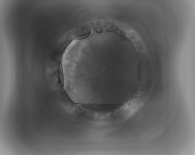 X0000112200192200908281447