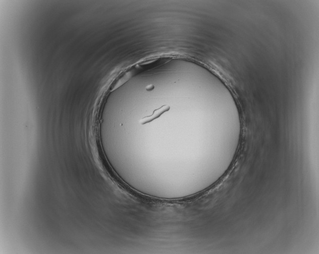 X0000112200193200908281446