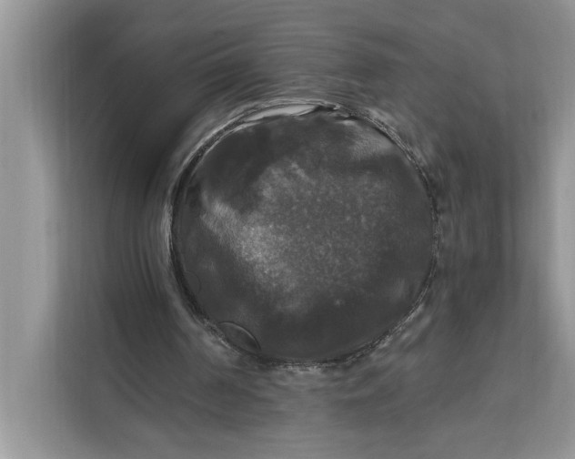 X0000112200194200908281446