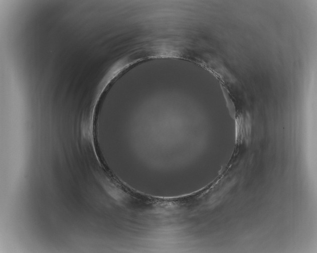 X0000112200195200908281446