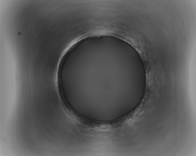 X0000112200196200908281446