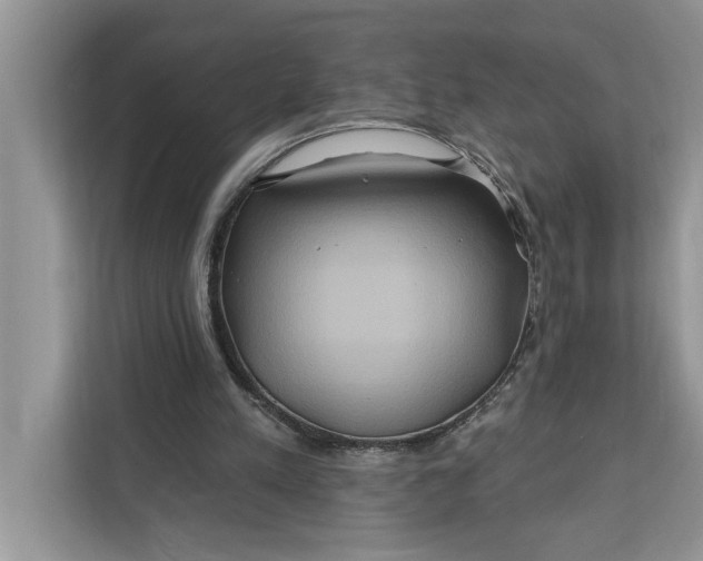 X0000112200197200908281446