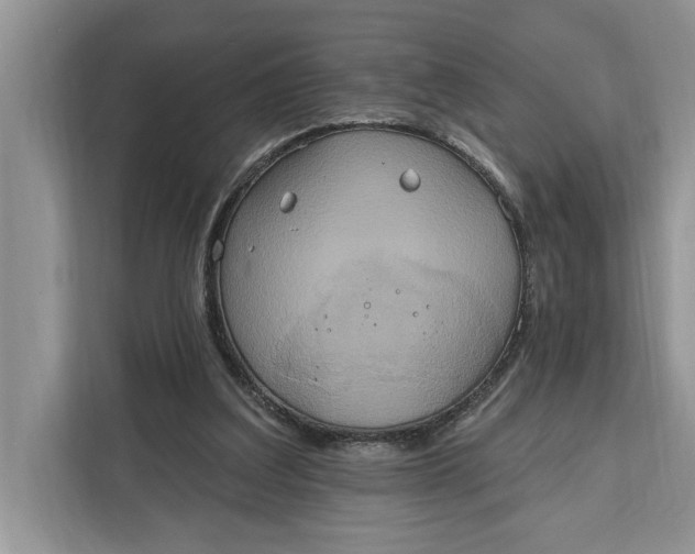 X0000112200203200908281446