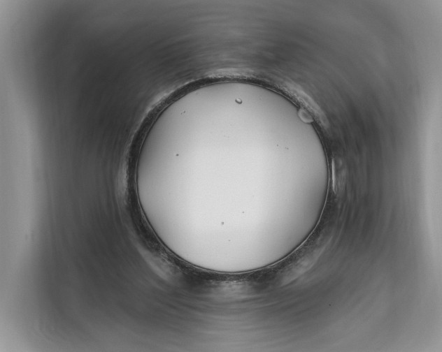 X0000112200204200908281446