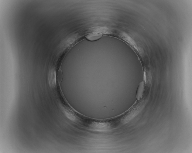 X0000112200205200908281446