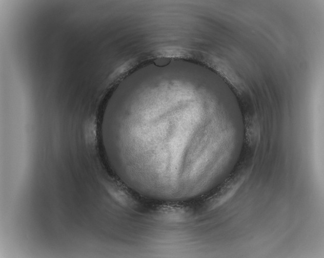 X0000112200207200908281446