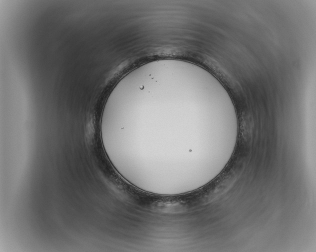 X0000112200208200908281446