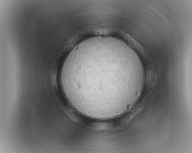 X0000112200209200908281446