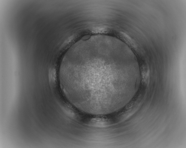 X0000112200211200908281446