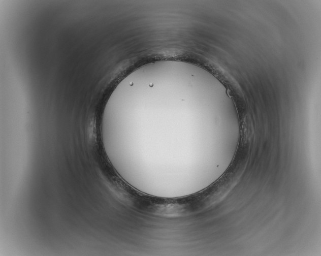 X0000112200212200908281446