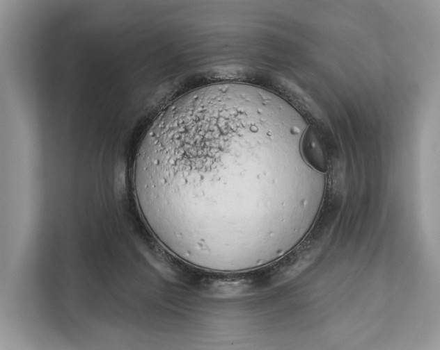 X0000112200213200908281446