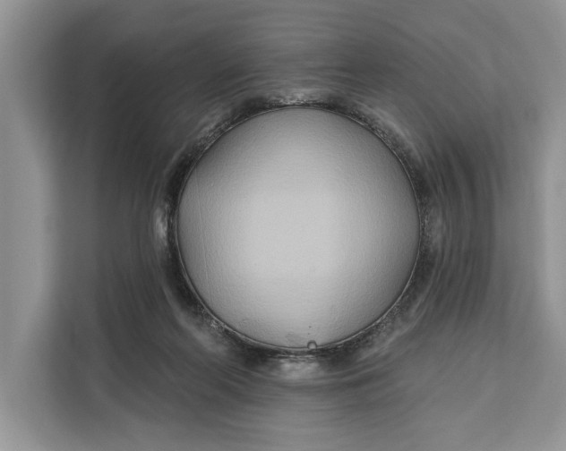 X0000112200214200908281446