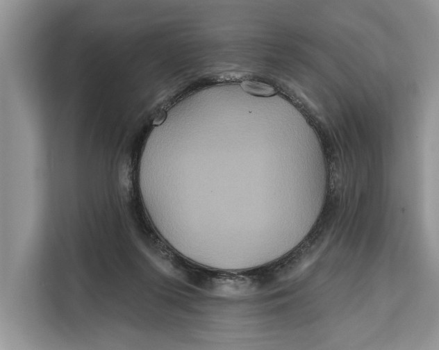 X0000112200215200908281446