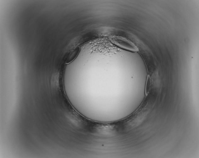 X0000112200217200908281446