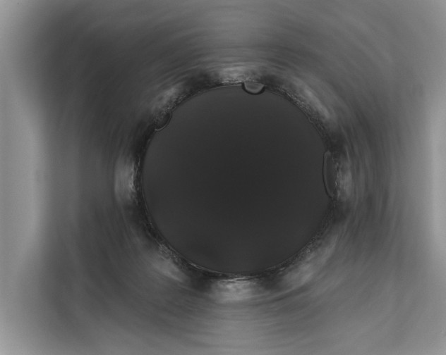 X0000112200219200908281446