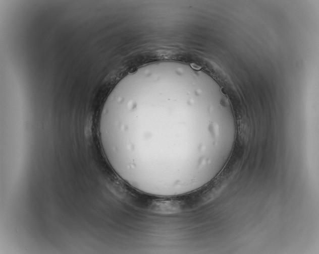 X0000112200221200908281446