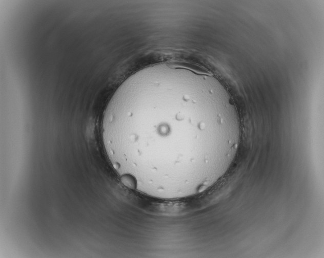 X0000112200225200908281446